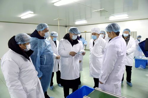 省委常委 常务副省长吴靖平深入辉南县医用防护用品生产企业进行调研