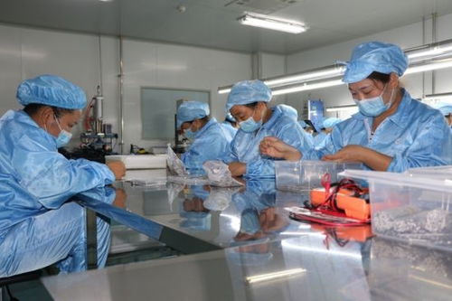 建设50亿级产业集群 郏县倾力打造中部地区知名医用耗材产销地