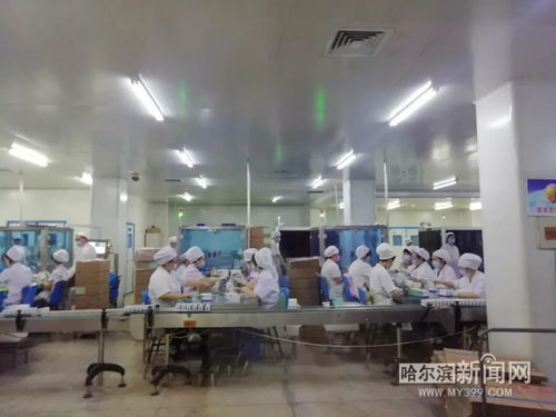 保供抗疫药品 挑战防护用品生产,哈药复工 大阵仗