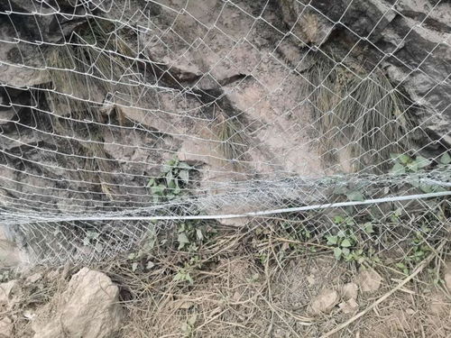 大庆钢丝绳产品防护网生产厂家