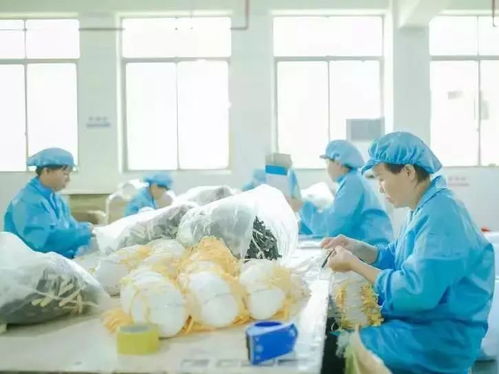 抗击疫情 巾帼同行 致敬漠阳最美逆行者